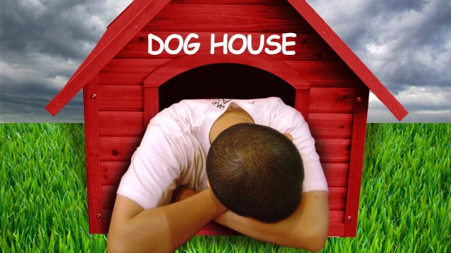 The dog house restaurant